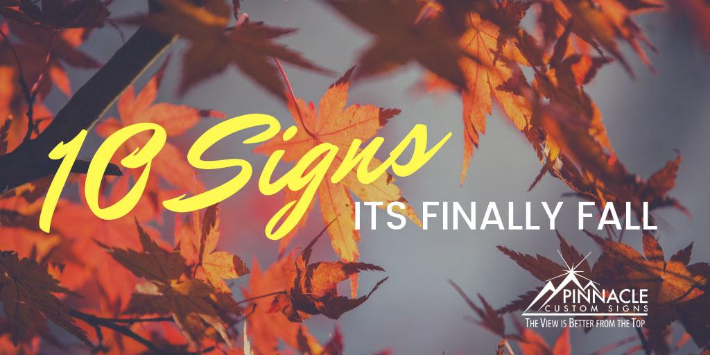 10 Signs That Fall Is Finally Here